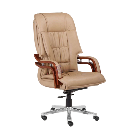 Latest Official CEO Chair