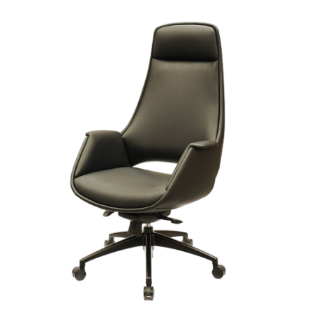 New Official CEO Chair